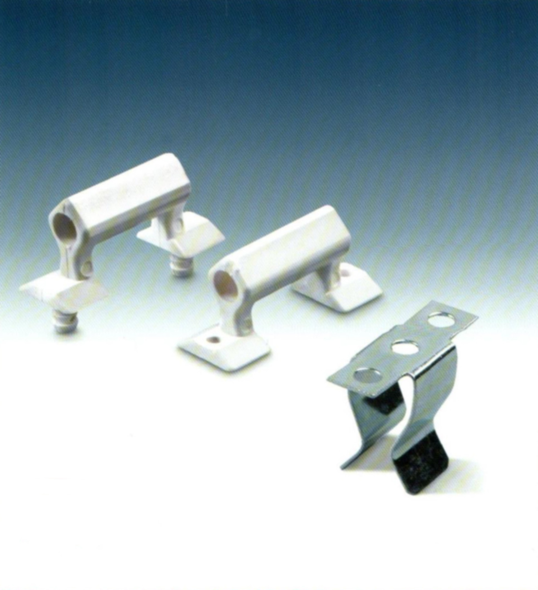 Sockel- und Blendenschnäpper  